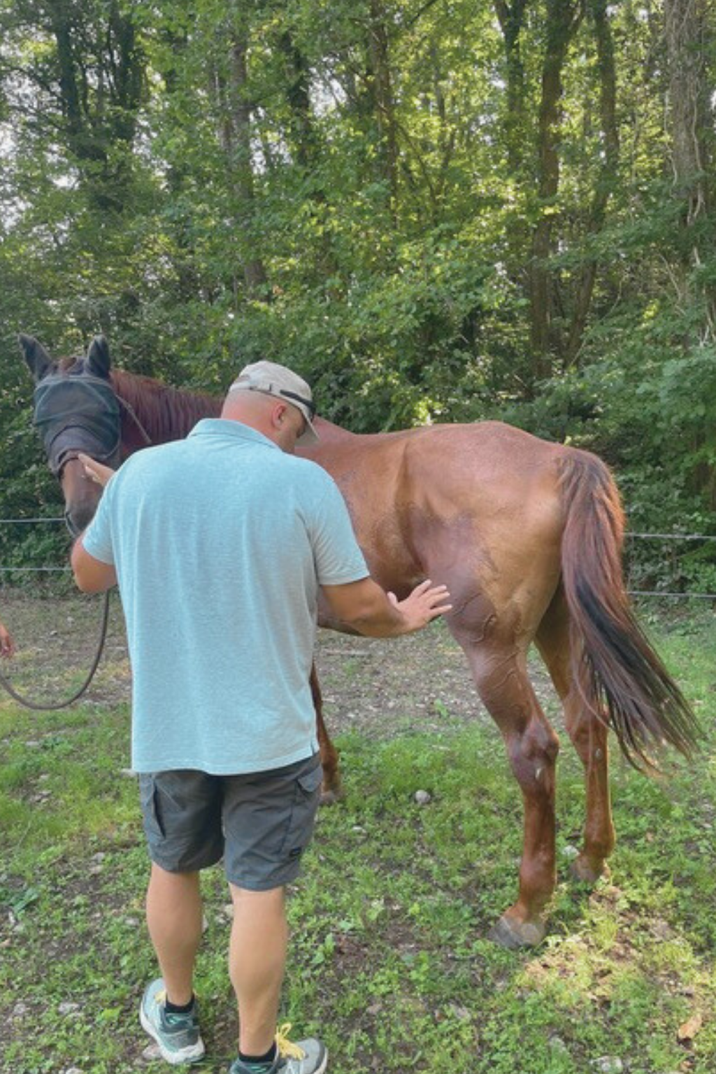 Jean-Christophe Cluzel, magnétiseur pour animaux en Haute-Savoie